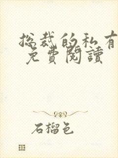 总裁的私有宝贝 免费阅读封面