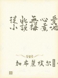 从此无心爱良夜小说梅煮酒