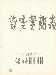 沈晚黎谢云迟小说免费阅读