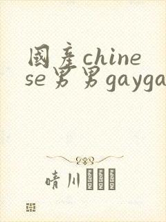 国产chinese男男gaygay在线