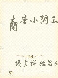 大唐小闲王笔趣阁