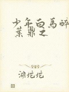 少年白马醉春风 叶鼎之封面