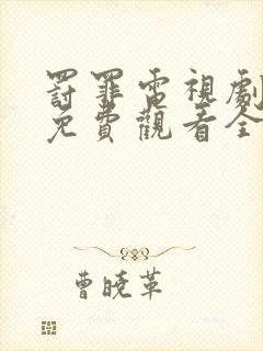 罚罪电视剧西瓜免费观看全集完整版封面