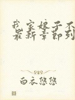 我家娘子不对劲最新章节列表免费