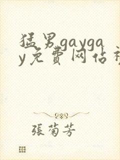 猛男gaygay免费网站视频封面