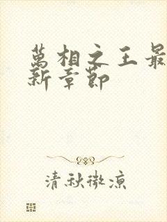 万相之王最快更新章节