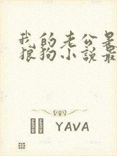 我的老公是条大狼狗小说最新章节