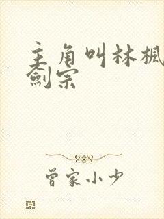 主角叫林枫神霄剑宗