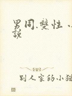 男同.双性 小说