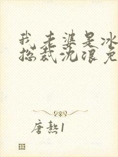 我老婆是冰山女总裁沈浪免费阅读