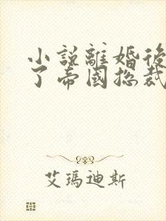 小说离婚后她怀了帝国总裁的崽