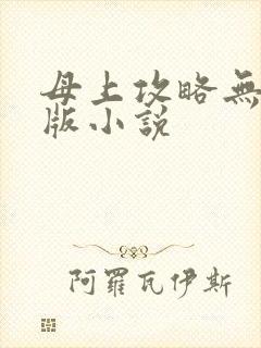 母上攻略无删减版小说封面
