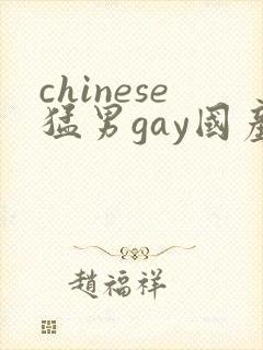 chinese猛男gay国产