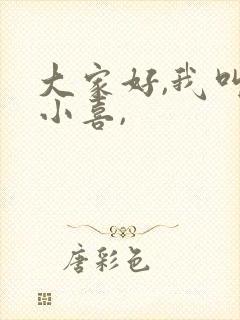 大家好,我叫林小喜,