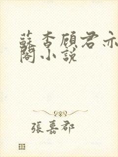 苏杳顾君亦笔趣阁小说封面