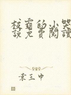 校霸的小哭包小说免费阅读在线