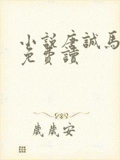 小说唐诚马玉婷免费读