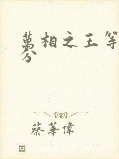 万相之王等级划分