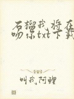 石榴我将在今夜吻你txt下载封面