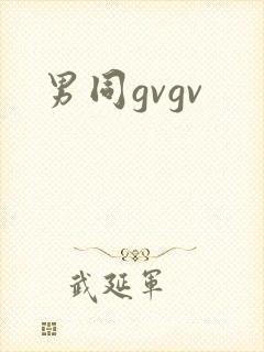 男同gvgv
