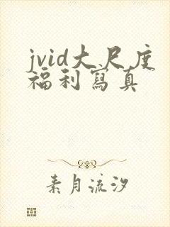 jvid大尺度福利写真