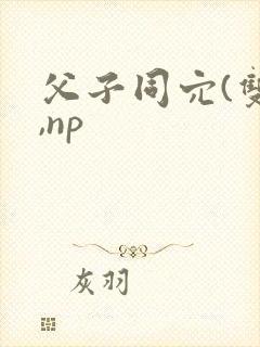 父子同穴(双性,np