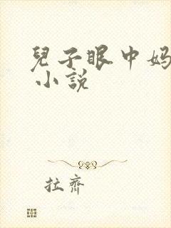 儿子眼中妈妈的 小说封面