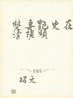 双妻艳史在线高清视频