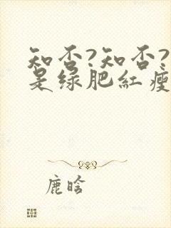 知否?知否?应是绿肥红瘦全集免费观看