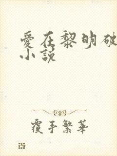 爱在黎明破晓前小说