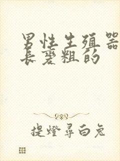 男性生殖器官增长变粗的