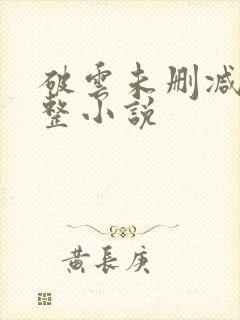 破云未删减版完整小说