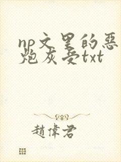 np文里的恶毒炮灰受txt