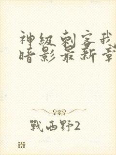 神级刺客我即是暗影最新章节封面