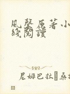 风声原著小说在线阅读
