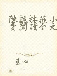 陈诚林薇小说免费阅读全文最新章节