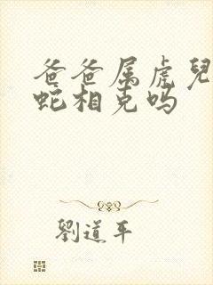 爸爸属虎儿子属蛇相克吗封面