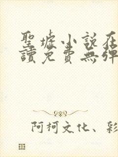 圣墟小说在线阅读免费无弹窗封面