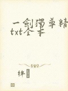 一剑独尊精校版txt全本