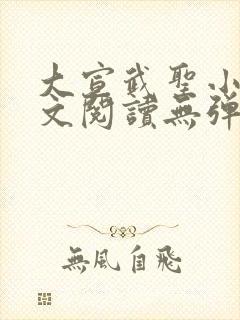 大宣武圣小说全文阅读无弹窗