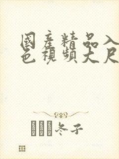 国产精品入口夜色视频大尺度