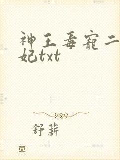 神王毒宠二嫁王妃txt