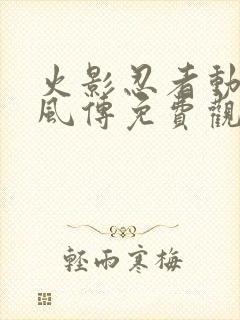 火影忍者动漫疾风传免费观看