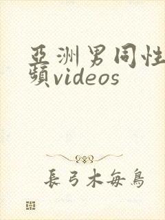 亚洲男同性恋视频videos