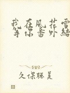 我在风花雪月里等你番外结局封面