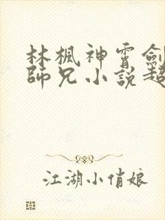 林枫神霄剑宗大师兄小说超前更新