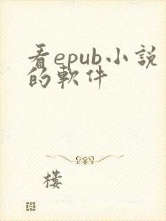 看epub小说的软件