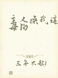 主人操我这只骚母狗