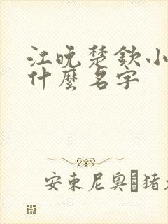 江晚楚钦小说叫什么名字