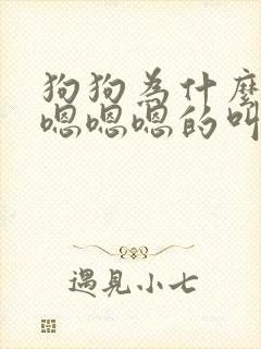 狗狗为什么一直嗯嗯嗯的叫